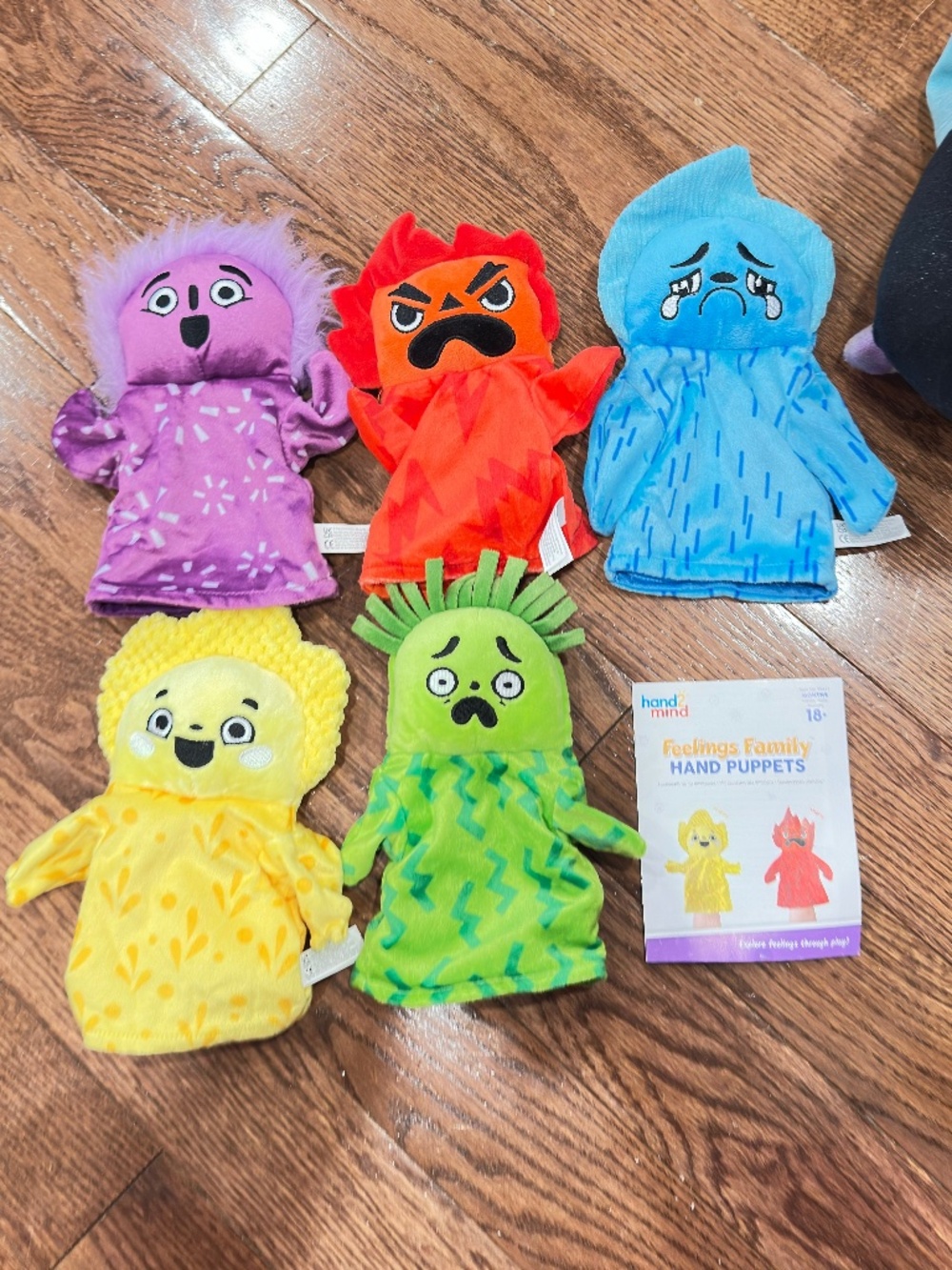 Feelings Family Hand Puppet from Hand 2 Mind
